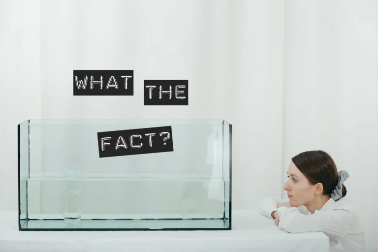 WHAT THE FACT! | Did I spread fake news? — Sustainable Fashion Matterz